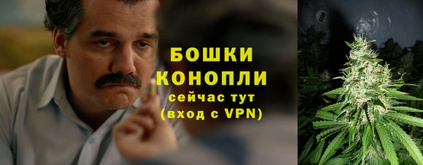 прущие крисы Белоозёрский