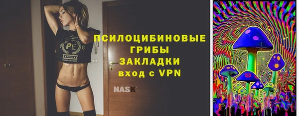 прущие крисы Белоозёрский